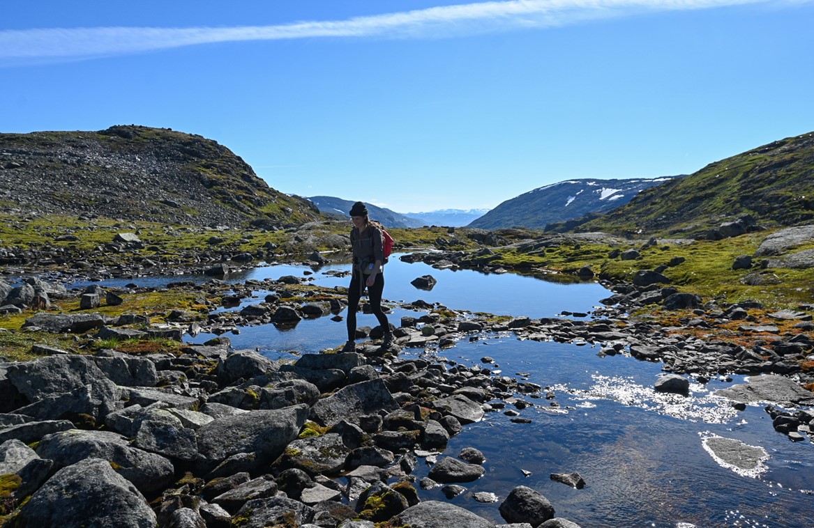 Wanderung im Jotunheimen Nationalpark, Sognefjellsvegen